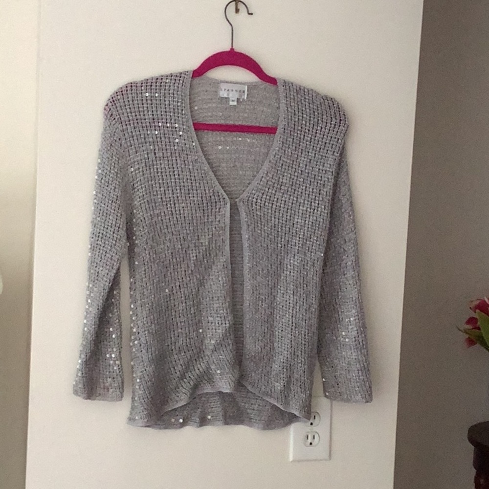 NWOT silver shimmery-sweater
